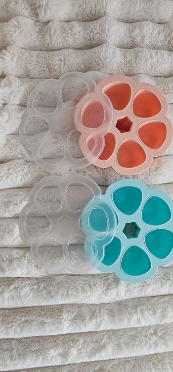 Lot de 2 fleurs 🌸 multiportions Béaba XL 150ml