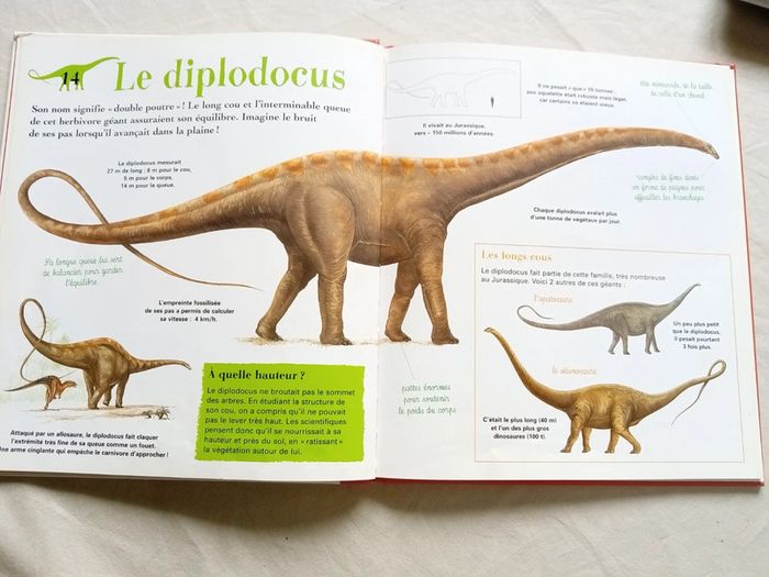 Les dinosaures - photo numéro 6