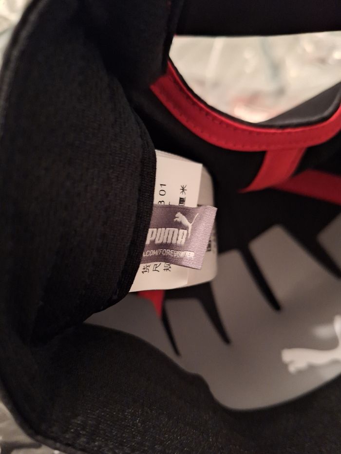 Puma GP Japon F1 - photo numéro 8