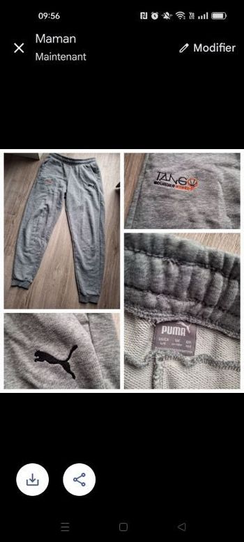 Jogging puma