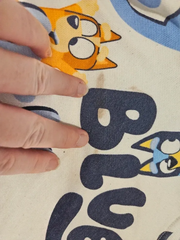 Ensemble bluey - photo numéro 2