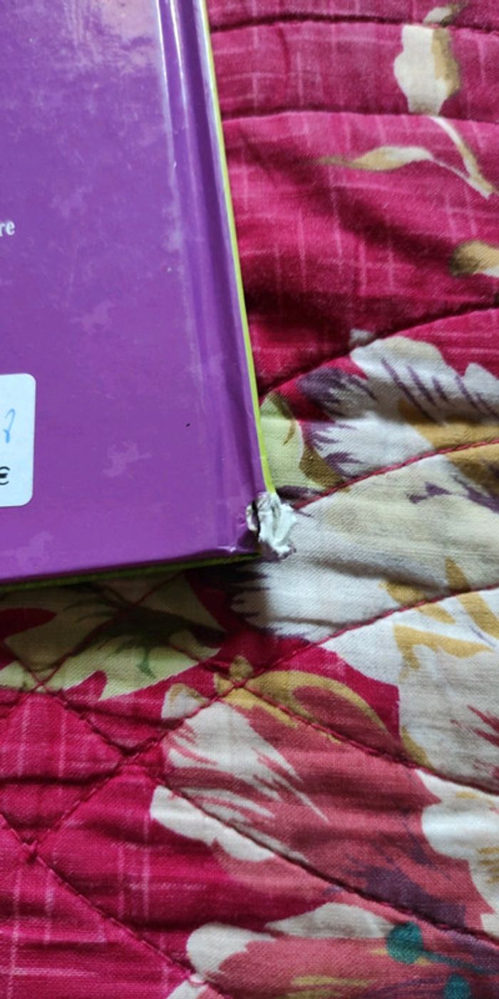 Bd grand galop tome 2 - photo numéro 3