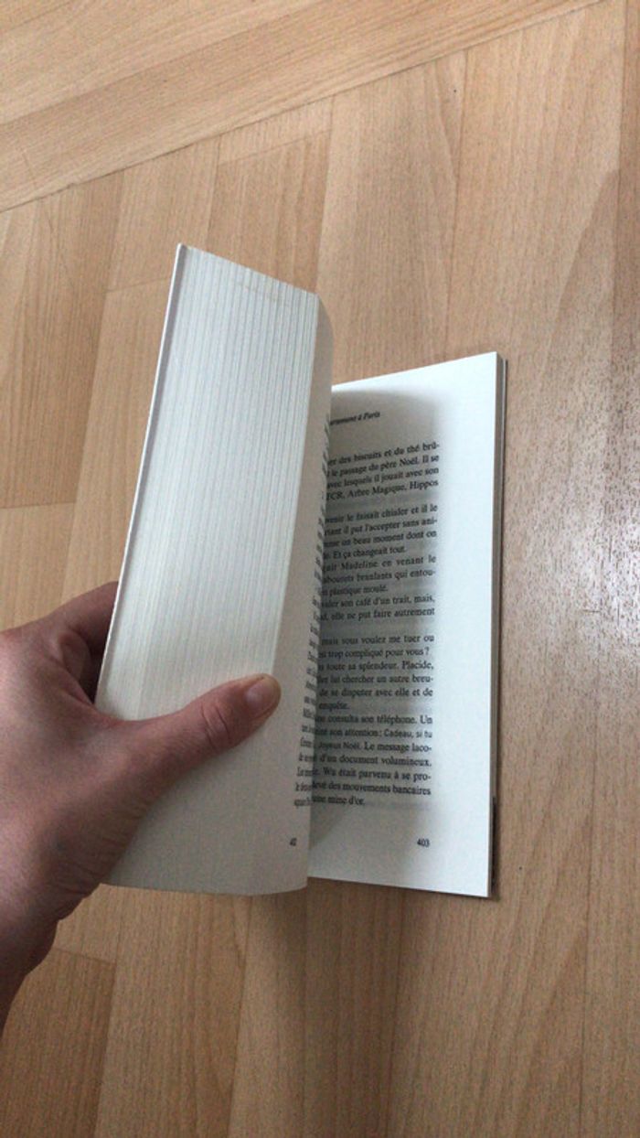 Un appartement à Paris - photo numéro 4