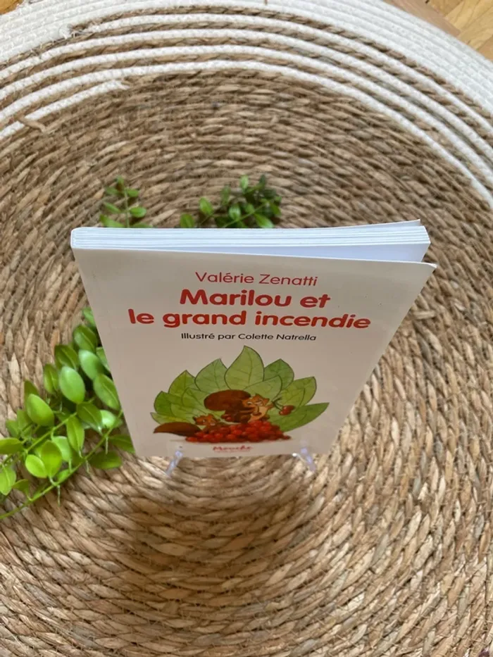 Livre - Marilou et le grand incendie - photo numéro 2