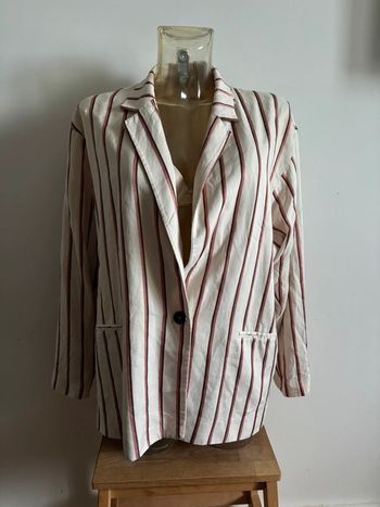 Blazer mango