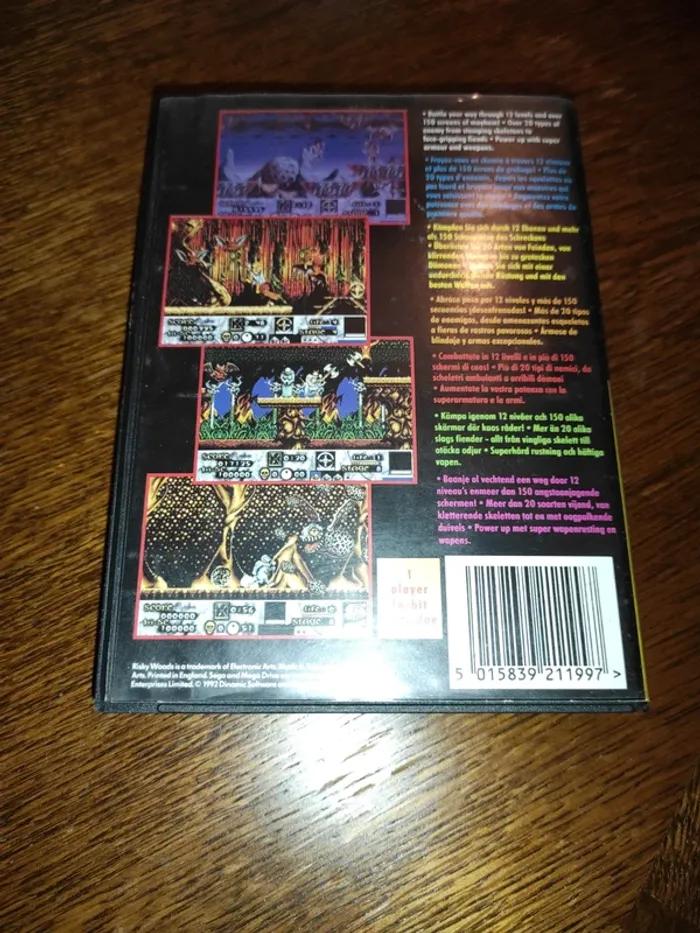 Risky woods Sega Megadrive - photo numéro 2
