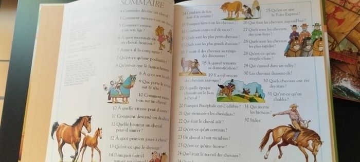 Lot de livres questions, réponses. - photo numéro 8