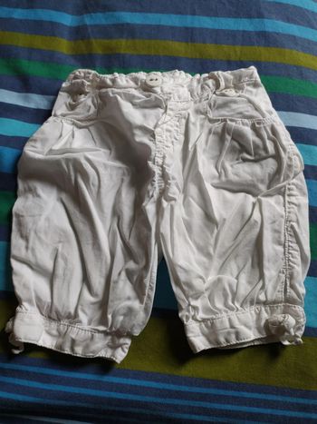 bermuda 1 an