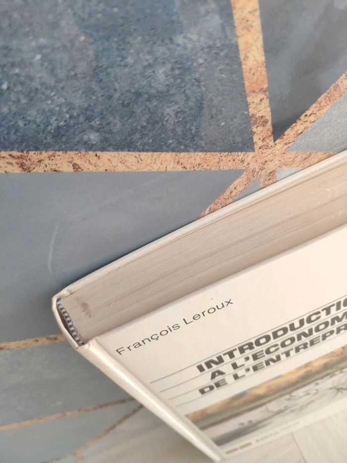 Livre grand format introduction économie entreprise Leroux - photo numéro 2