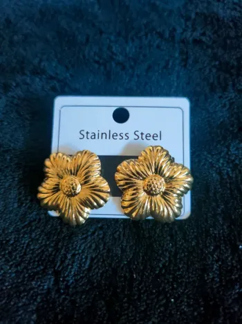 Boucles d'oreilles acier inoxydable