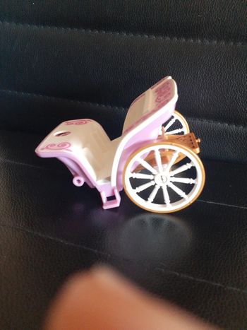 Carrosse playmobil