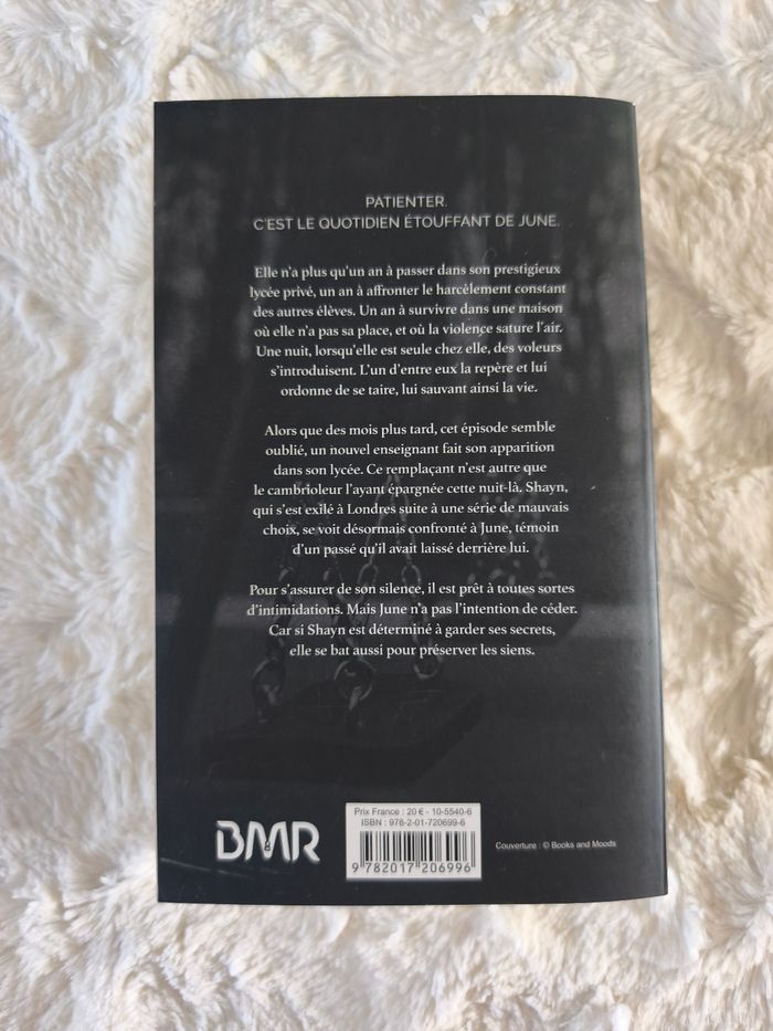 Troublemaker tome 1 Laura Swan - photo numéro 3