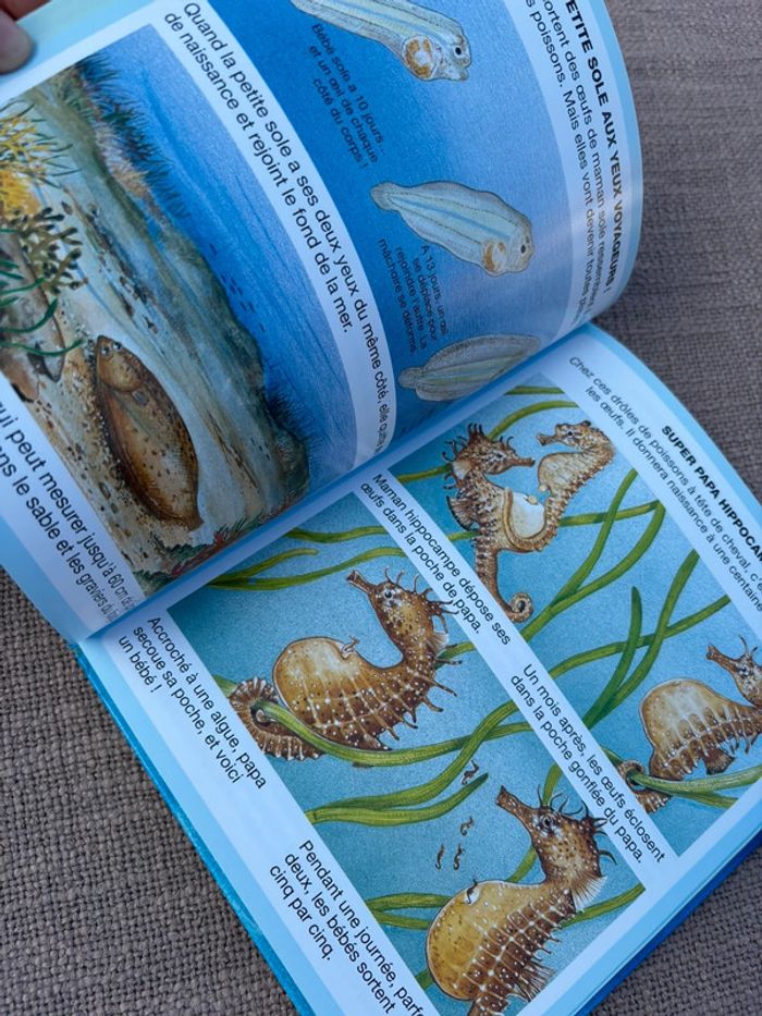 Livre fleurus l’imagerie de la mer - photo numéro 2
