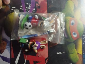 Lot de deux lapins crétins