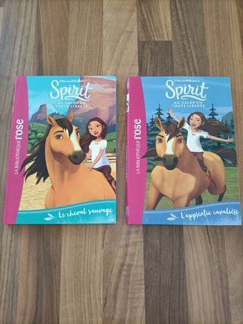 Lot Livres Spirit tome 1 et 2