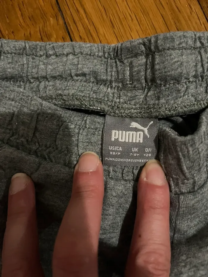 Short puma - photo numéro 2