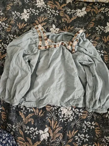 Blouse Manches longues Zara 104cm bleue brodée