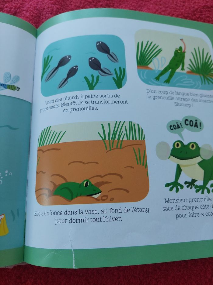 Encyclopedie 2-5ans Dokeo des animaux - photo numéro 5