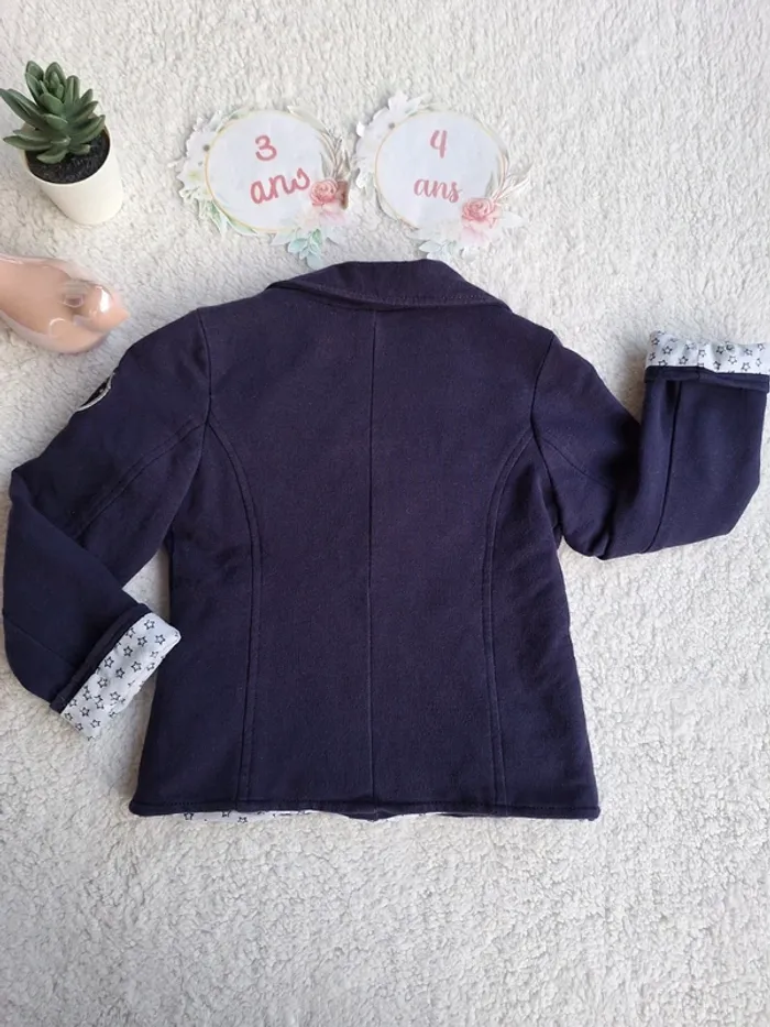 Blaser marine - photo numéro 8