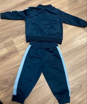 Ensemble puma