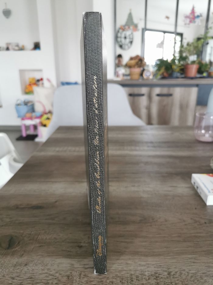 Livre disneyland paris pirates des caraïbes - photo numéro 3