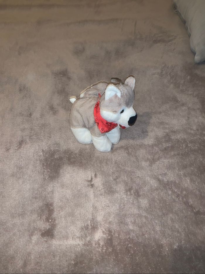 Peluche chien husky - photo numéro 4