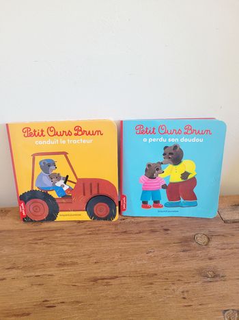 Lot de 2 livres Petit Ours Brun