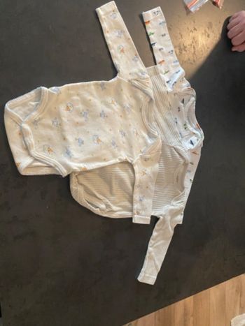 Lot body