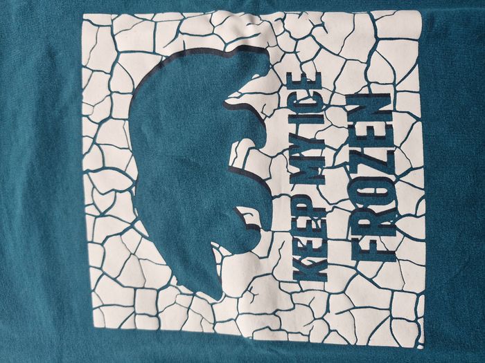 T-shirt manches longues 3 ans Okaïdi Bleu canard Ours polaire inscription keep my ice frozen - photo numéro 3