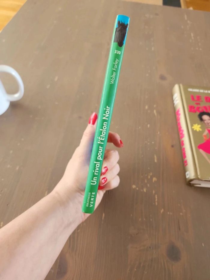 Livre Un rival pour l'étalon noir- bibliotheque - photo numéro 3