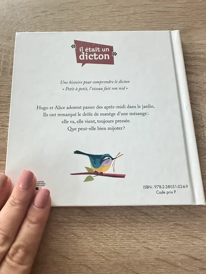 Petit à petit l oiseau fait son nid - photo numéro 2