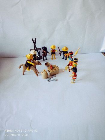  Playmobil western cowboy indien perroquet