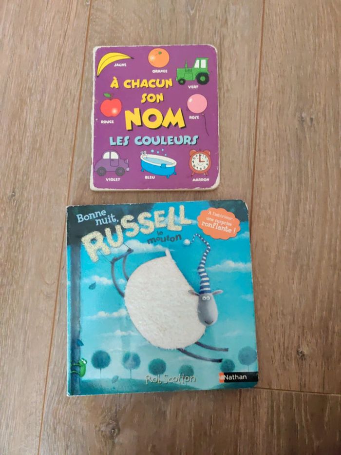 Lot 2 livres enfants