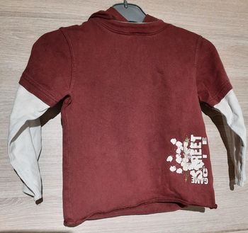 Tee-shirt manches longues à capuche taille 3 ans la compagnie des petits