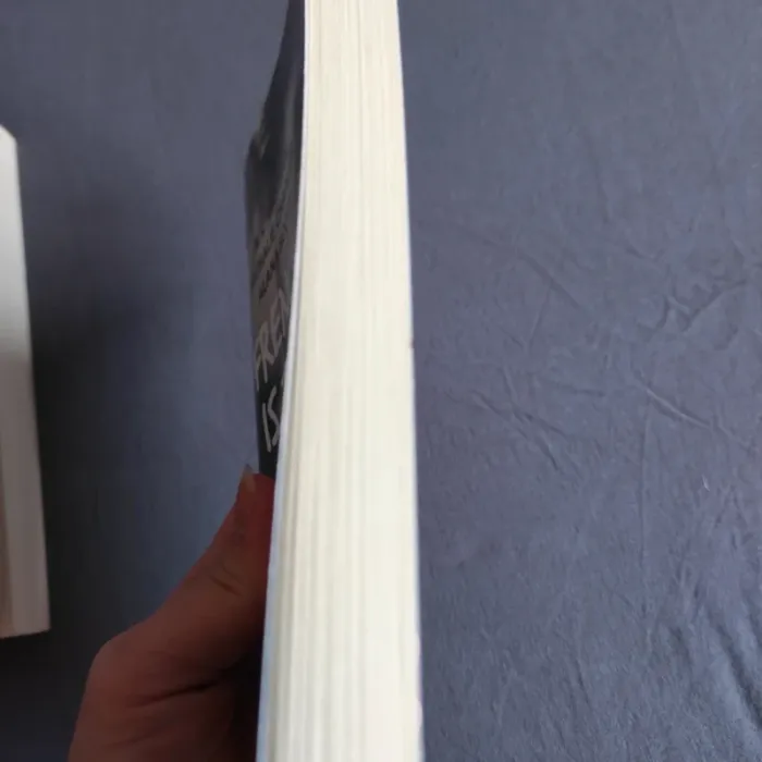 Livre de poche Frenchy is the new bad boy - photo numéro 4