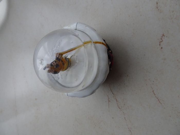Figurine boule de neige - photo numéro 2
