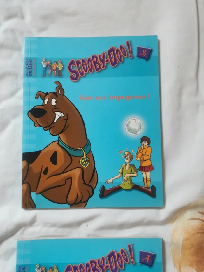 Lot 2 livres scoubidous 3 et 4 - photo numéro 2