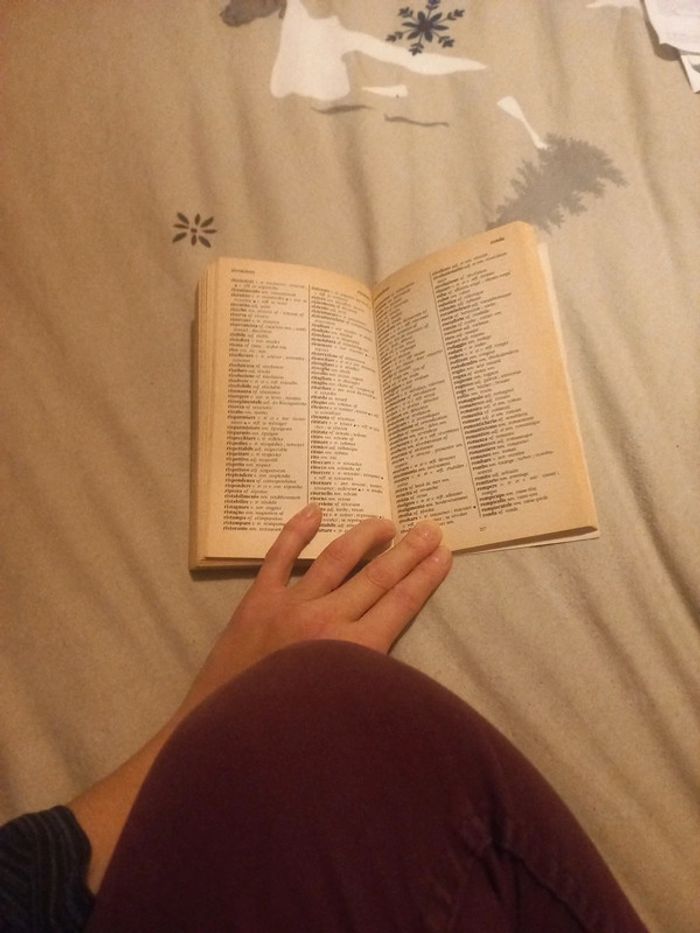 Dictionnaire français italien - photo numéro 3