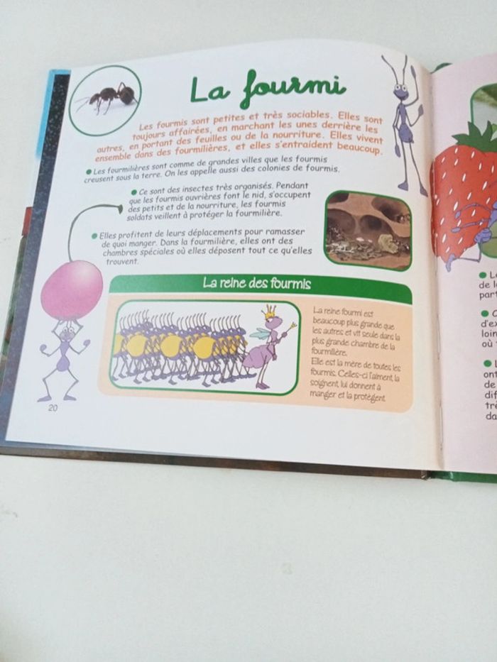 La cigale et la fourmi - photo numéro 4