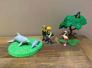 Lot dauphins et les soigneurs 