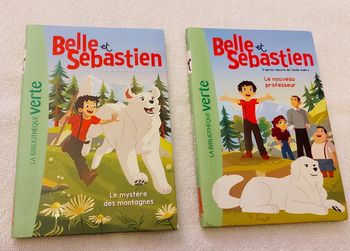 Livres belle et Sébastien le mystère des montagnes et le nouveau professeur