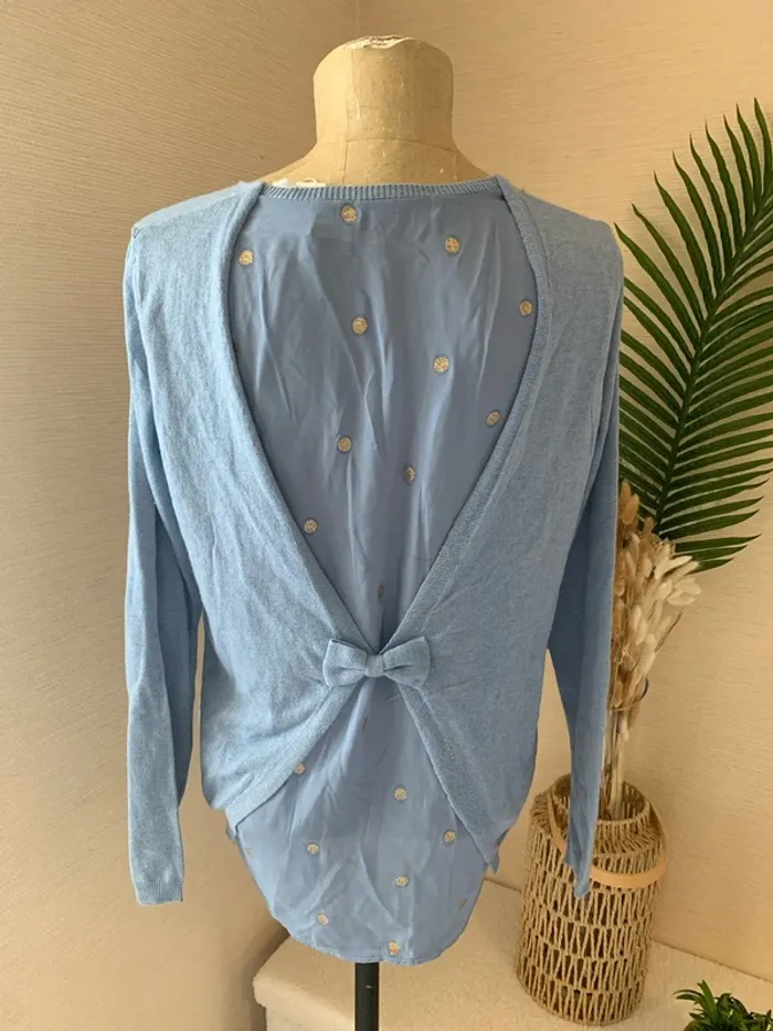 Joli pull blouse femme