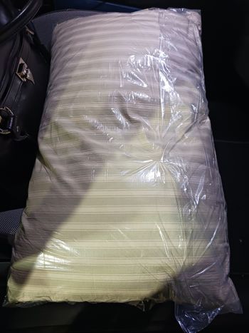 Oreiller rectangle en plumes