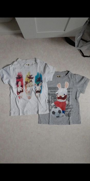2 Tee-shirt lapin crétins