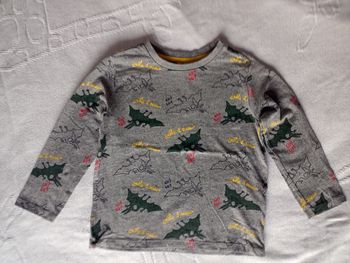 Tee-shirt manches longues gris dinosaures garçon 5 ans Dpam