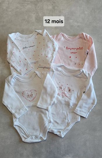 Lot de 4 bodies 12mois mes petits cailloux