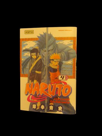 NARUTO livre