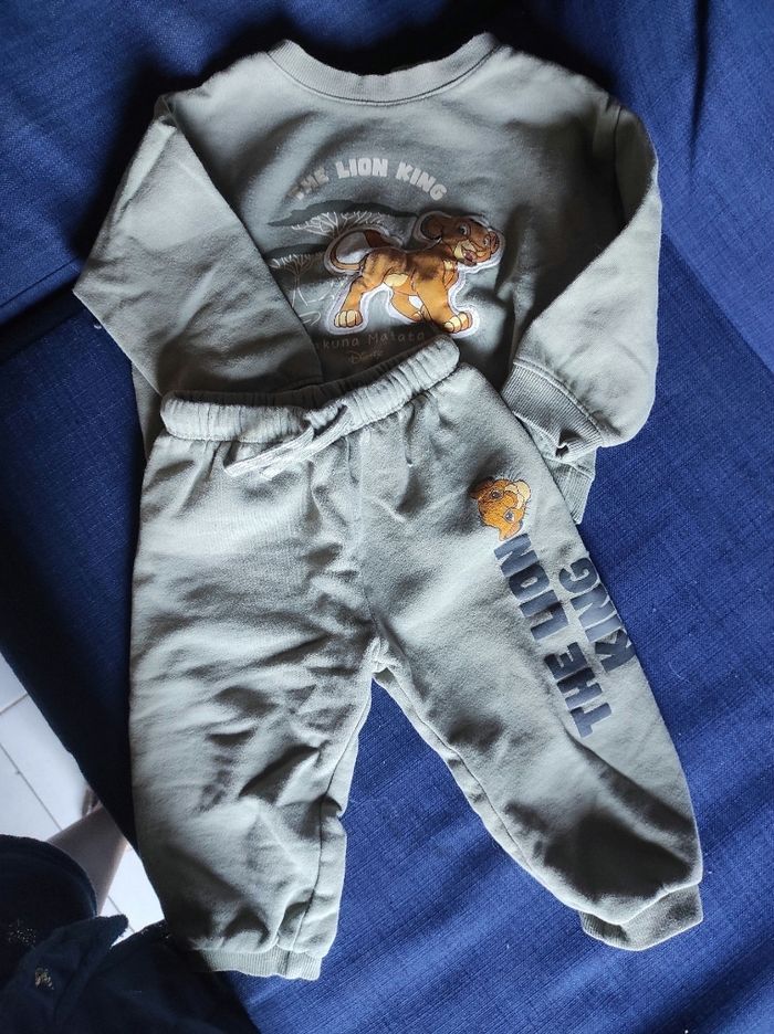Ensemble roi lion