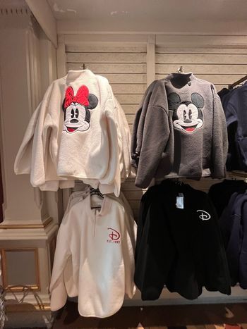 Polaire DisneyLand Paris (Minnie,Mickey,Grincheux & Donald)