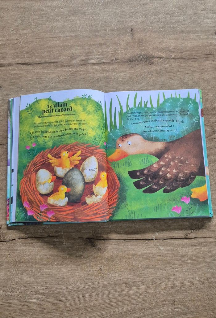 Les plus beaux contes d'Andersen - photo numéro 5